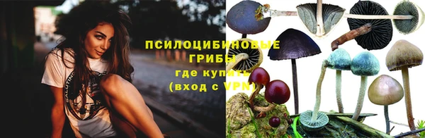 PSILOCYBIN Коряжма