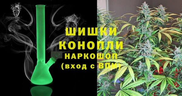 PSILOCYBIN Коряжма