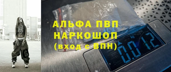 PSILOCYBIN Коряжма