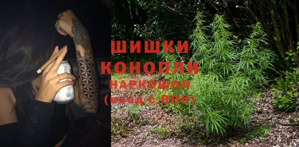 PSILOCYBIN Коряжма