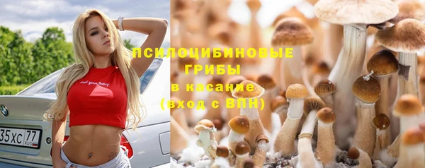 MESCALINE Корсаков