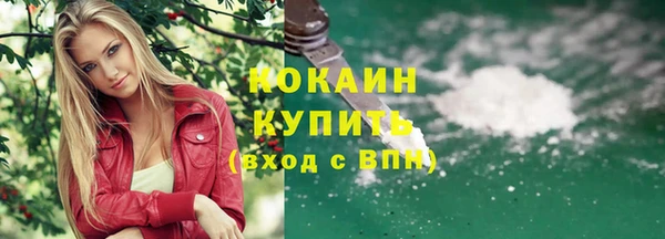 соль ск Костерёво