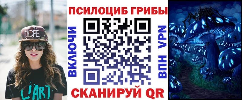 Купить где  Дно  Галлюциногенные грибы прущие грибы 